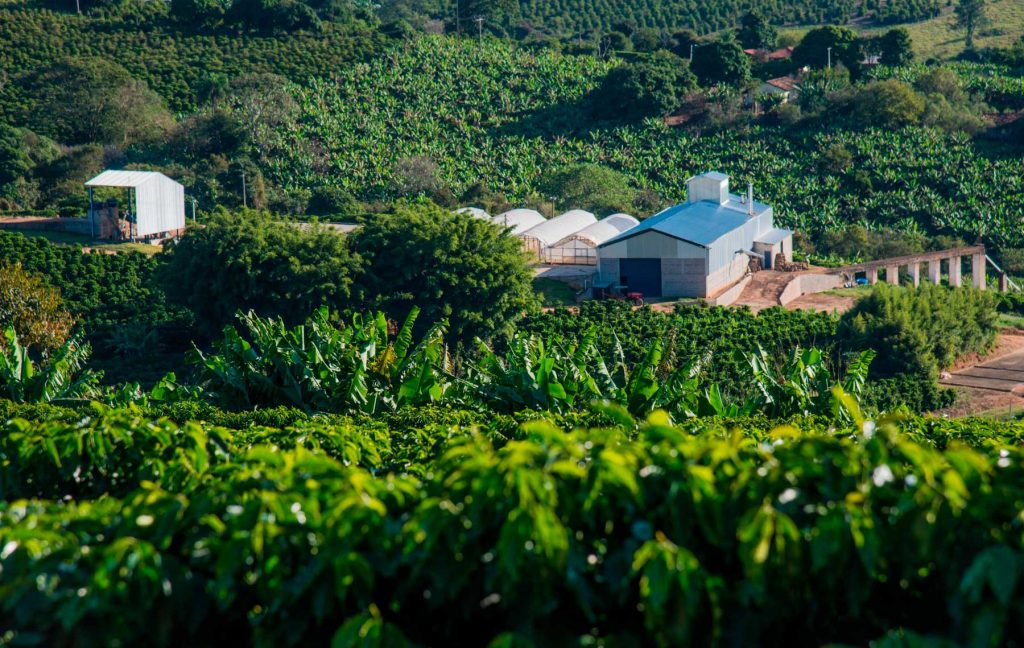 MAESTRO Portal de Turismo para Cidades e Destinos fazenda 7 senhoras socorro sp4